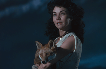 64th New York Film Festival Revivals Announced